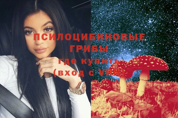 бошки Абаза