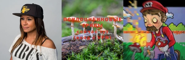 прущие грибы Абдулино