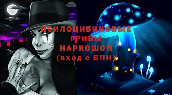 бошки Алексин