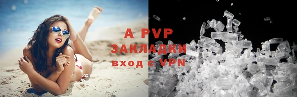 прущие грибы Абдулино