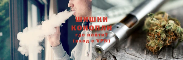 прущие грибы Абдулино